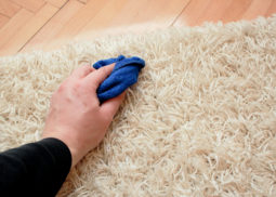 Carpet Stain Removal Wyndham Vale