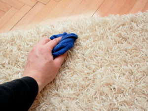 Carpet Stain Removal Wyndham Vale