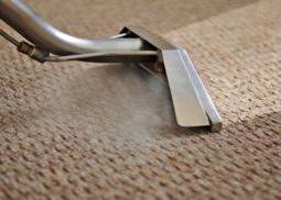 Carpet Steam Cleaning Kurunjang
