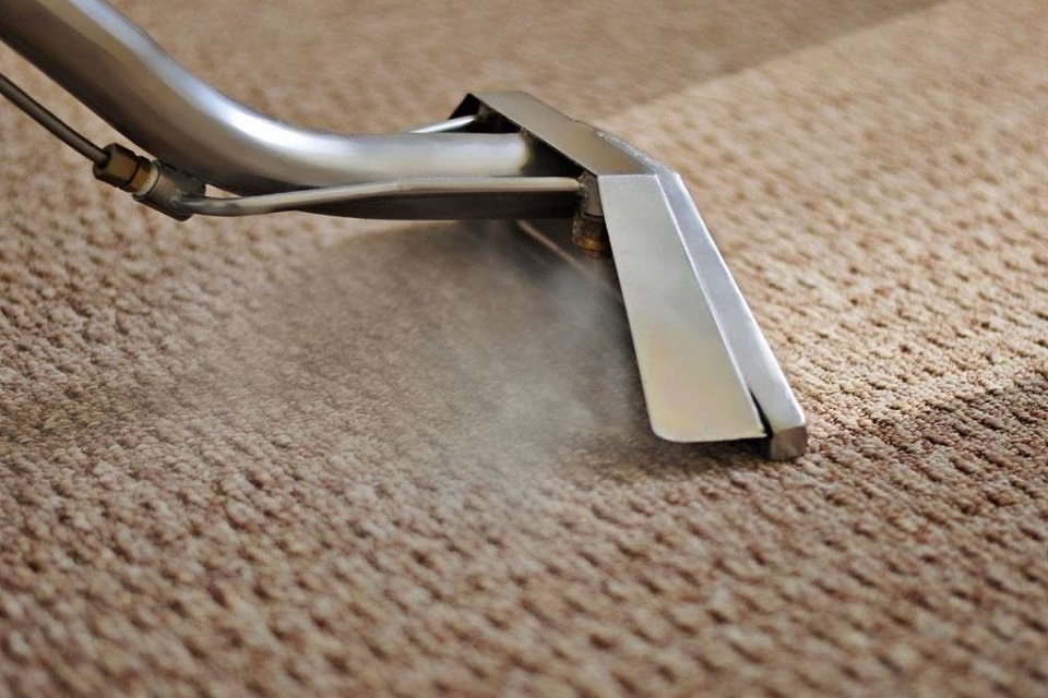 Carpet Steam Cleaning - Cleaning Today