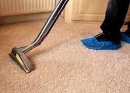 Rug Steam Cleaning Torquay