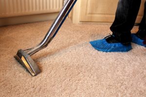Rug Steam Cleaning Torquay