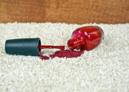 Carpet Stain Removal Dayleford