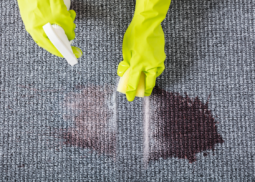 Carpet Stain Removal Abbotsford