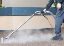 Carpet Steam Cleaning Alphington