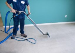 Carpet Steam Cleaning Abbotsford