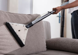Upholstery Cleaning Ballan